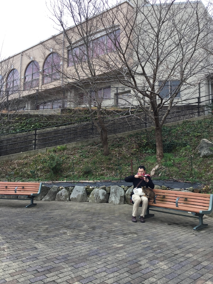 f:id:weihuan:20190413211002j:plain f:id:weihuan:20190413211002j:plain