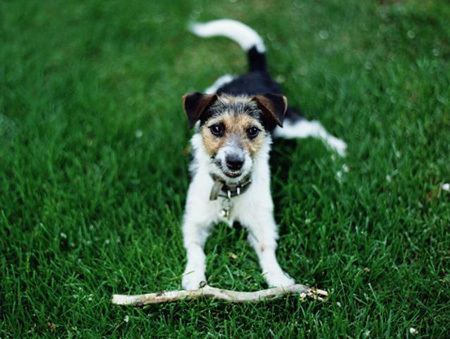 f:id:weizm:20071211093221j:image f:id:weizm:20071211093221j:image