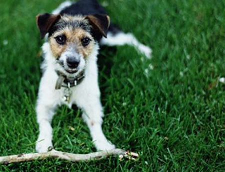 f:id:weizm:20071211093514j:image f:id:weizm:20071211093514j:image