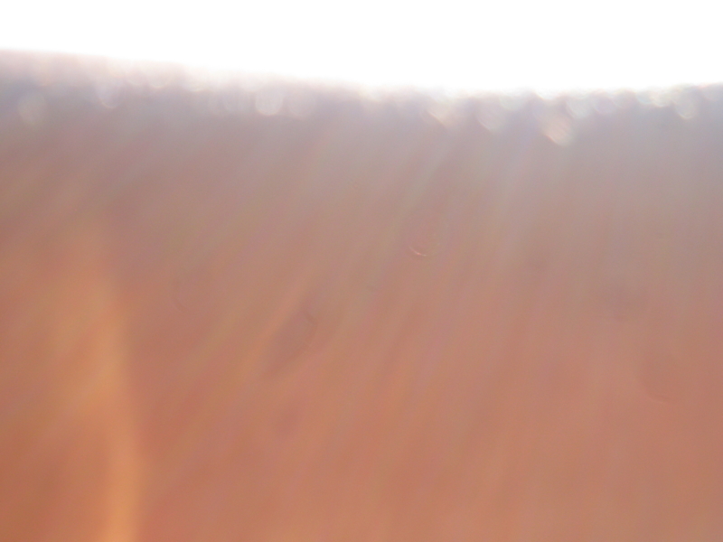 f:id:welcomeanuenue:20140902143845j:image f:id:welcomeanuenue:20140902143845j:image