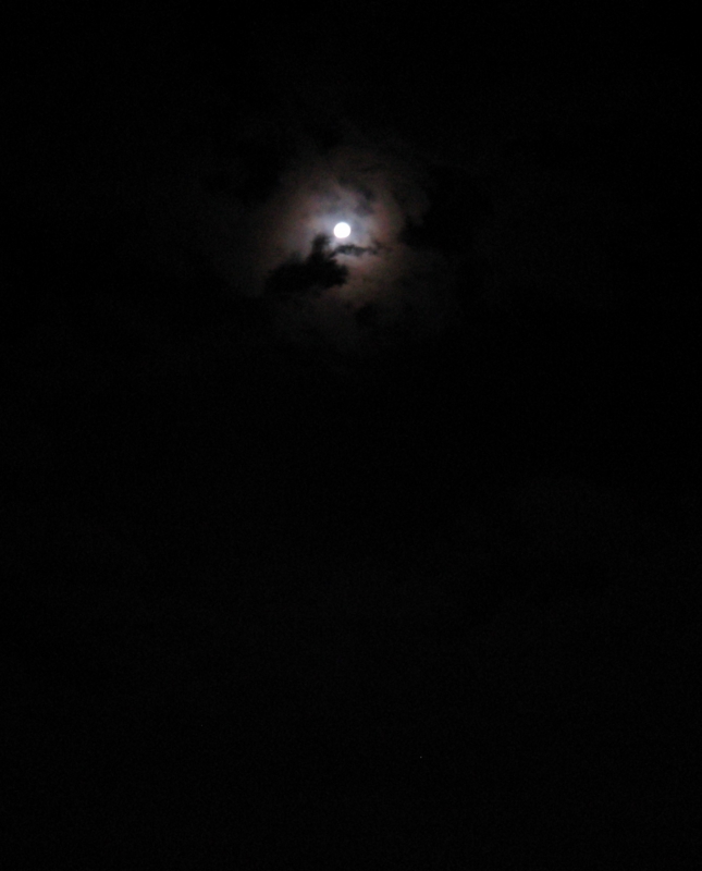 f:id:welcomeanuenue:20140907223325j:image f:id:welcomeanuenue:20140907223325j:image
