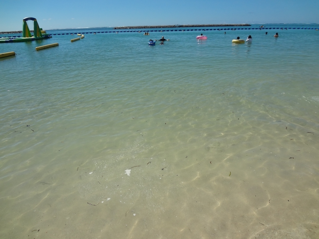 f:id:well-lined5963:20190122080112j:plain f:id:well-lined5963:20190122080112j:plain