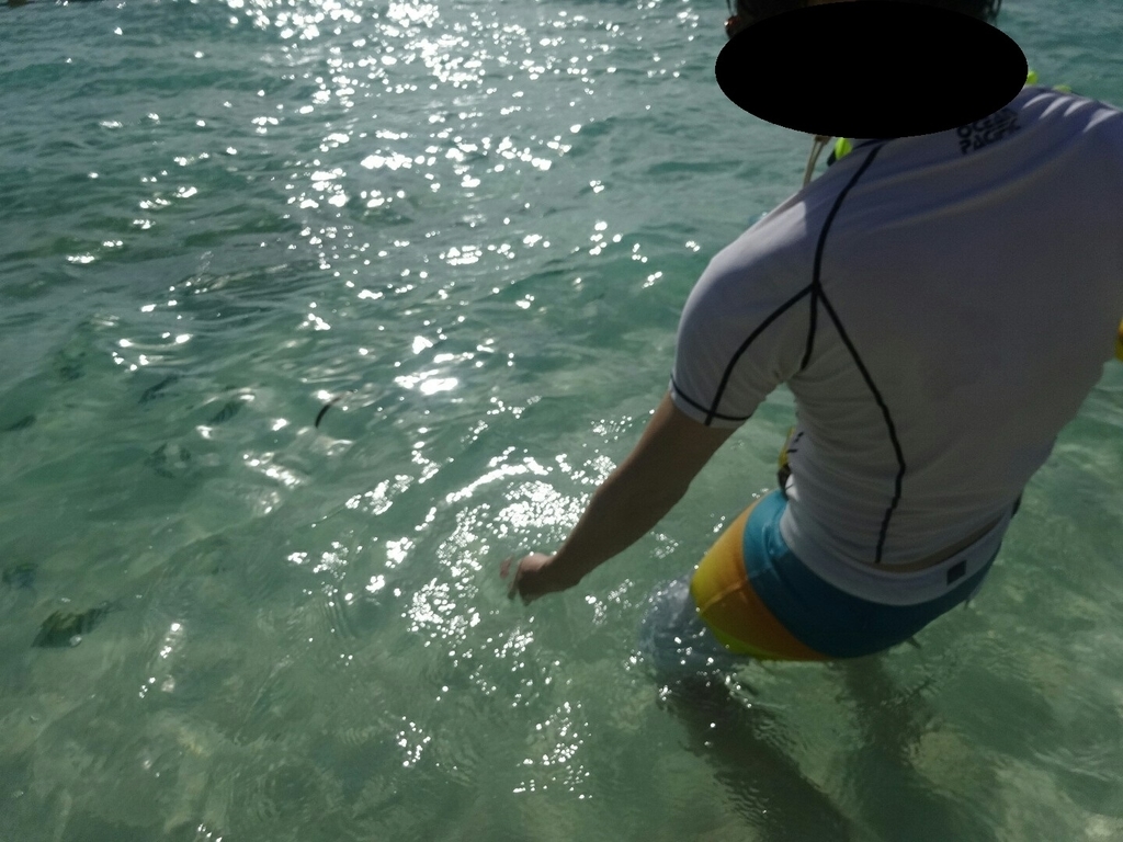 f:id:well-lined5963:20190122083744j:plain f:id:well-lined5963:20190122083744j:plain