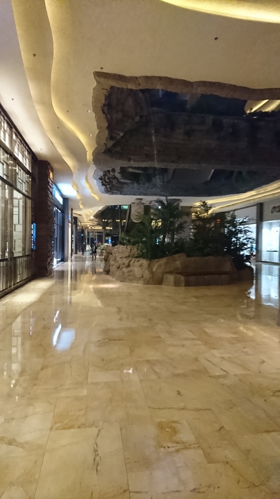 f:id:well-lined5963:20190130101926j:plain f:id:well-lined5963:20190130101926j:plain