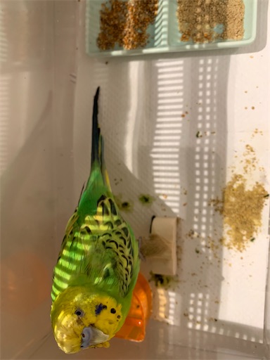 f:id:wellen:20240702134504j:image f:id:wellen:20240702134504j:image