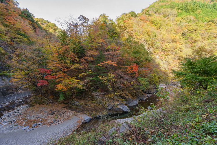 f:id:wellflat:20151101142237j:plain
