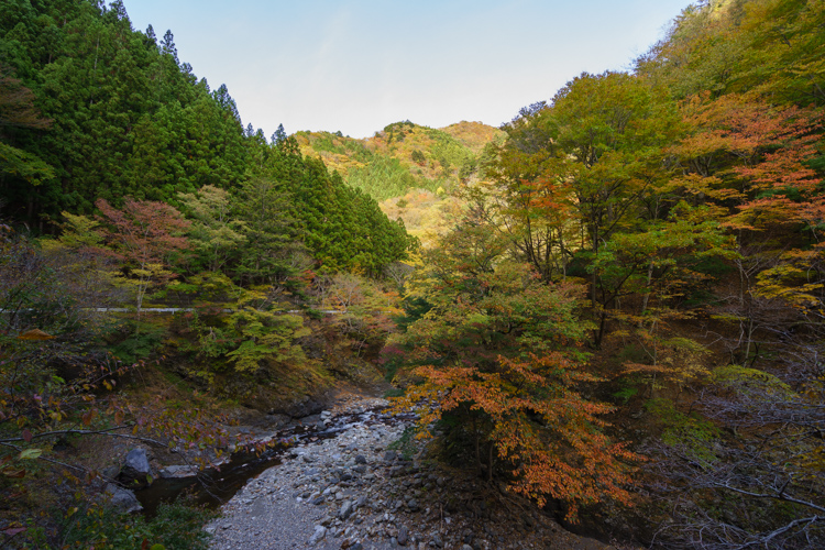 f:id:wellflat:20151101144201j:plain