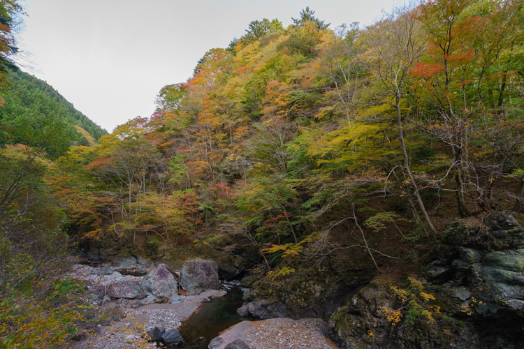 f:id:wellflat:20151101144442j:plain