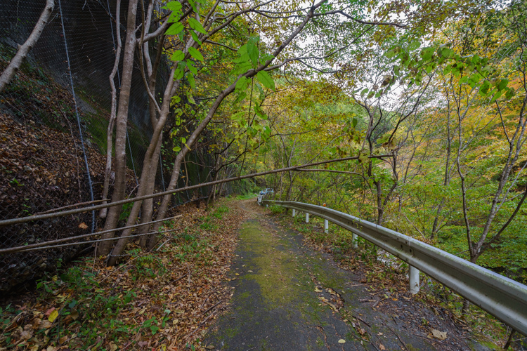 f:id:wellflat:20151101144545j:plain