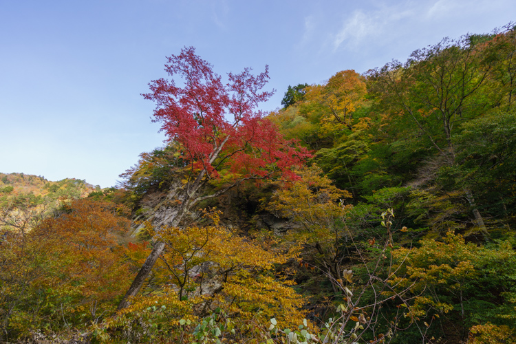 f:id:wellflat:20151101144835j:plain