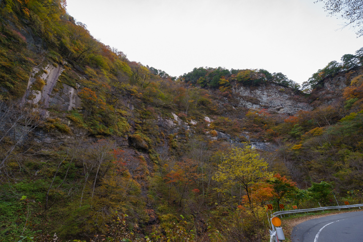 f:id:wellflat:20151101150504j:plain