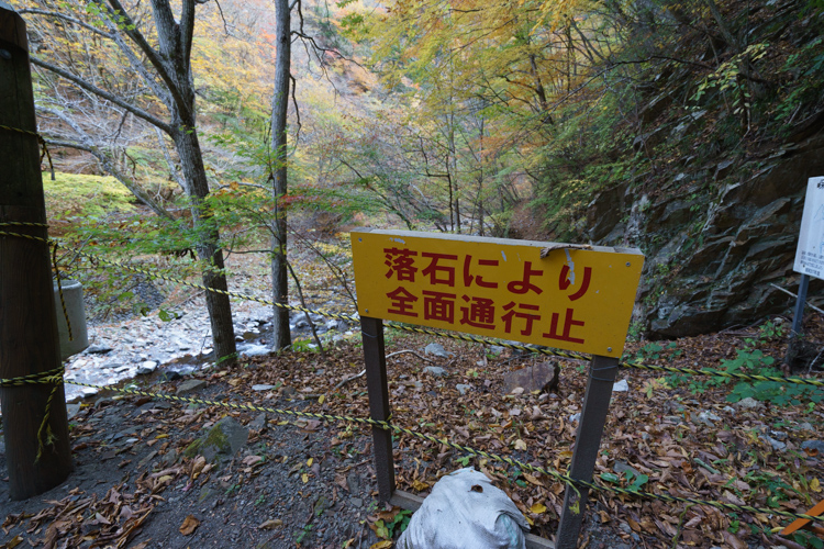 f:id:wellflat:20151101152508j:plain