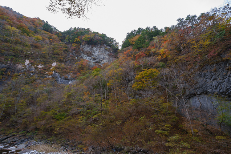 f:id:wellflat:20151101153042j:plain