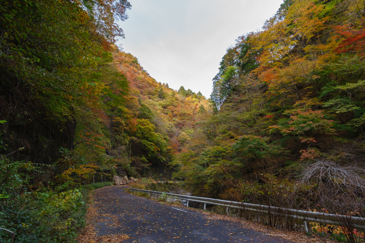 f:id:wellflat:20151101153513j:plain