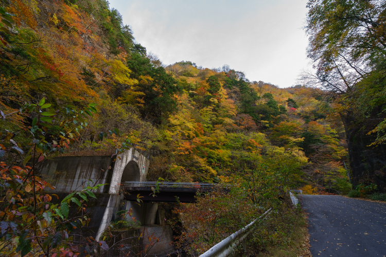 f:id:wellflat:20151101153533j:plain