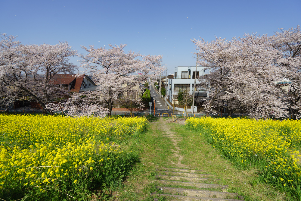 f:id:wellflat:20180331140611j:plain