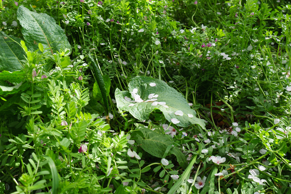 f:id:wellflat:20180331141405j:plain