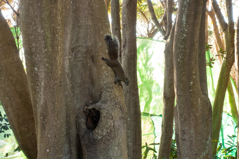 f:id:wellflat:20181102153502j:plain