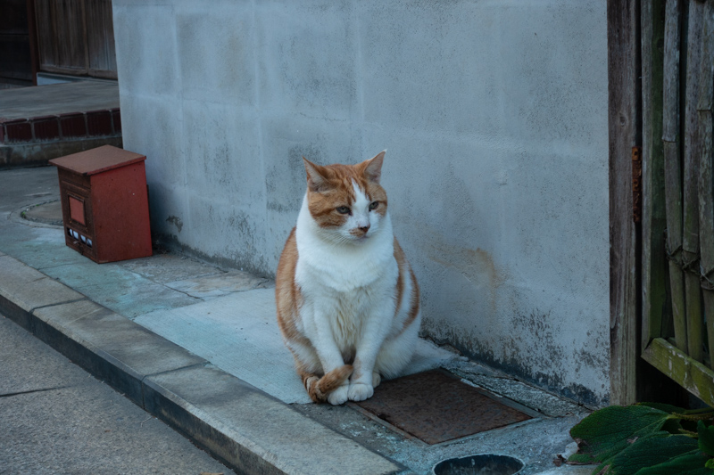 f:id:wellflat:20181102162514j:plain