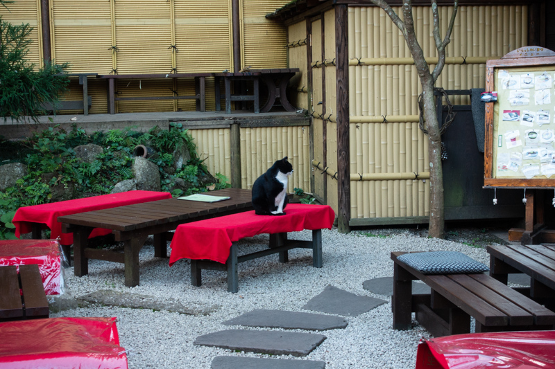 f:id:wellflat:20181102163924j:plain