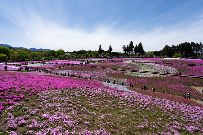 f:id:wellflat:20190428130436j:plain