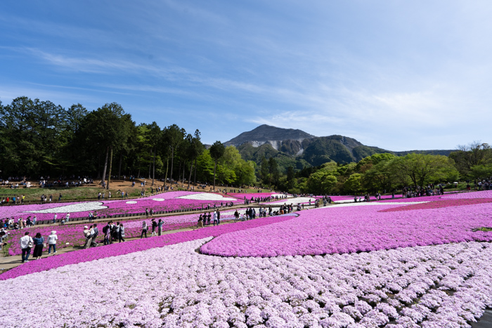 f:id:wellflat:20190428135550j:plain