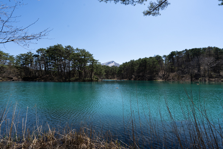 f:id:wellflat:20190504125336j:plain f:id:wellflat:20190504125336j:plain