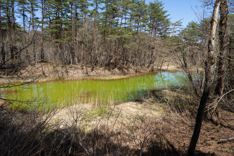 f:id:wellflat:20190504131752j:plain f:id:wellflat:20190504131752j:plain