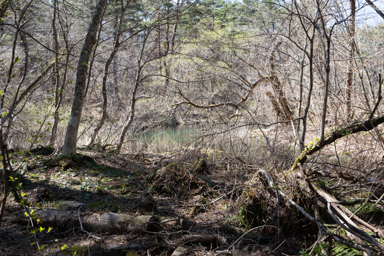 f:id:wellflat:20190504132800j:plain f:id:wellflat:20190504132800j:plain