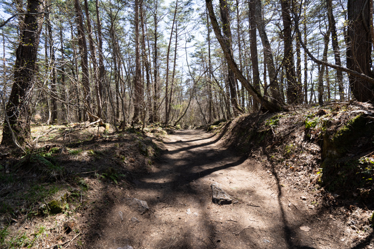 f:id:wellflat:20190504133527j:plain f:id:wellflat:20190504133527j:plain