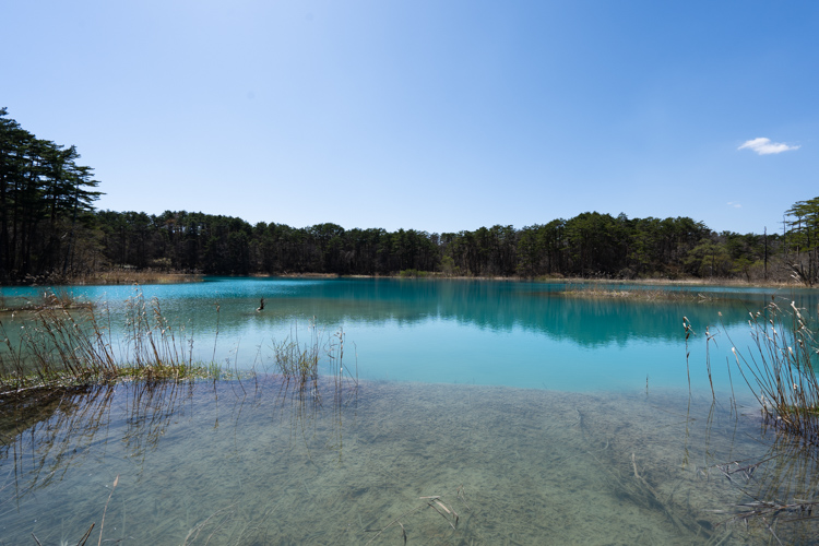 f:id:wellflat:20190504133751j:plain f:id:wellflat:20190504133751j:plain