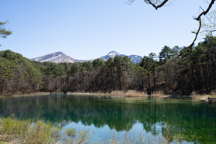 f:id:wellflat:20190504135558j:plain f:id:wellflat:20190504135558j:plain
