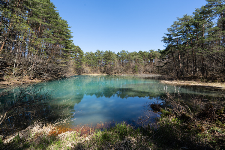 f:id:wellflat:20190504140039j:plain f:id:wellflat:20190504140039j:plain