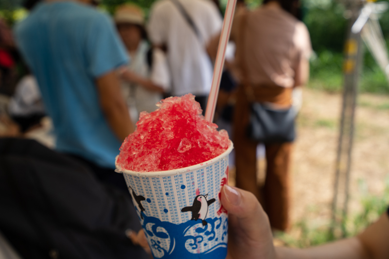 f:id:wellflat:20190824130458j:plain