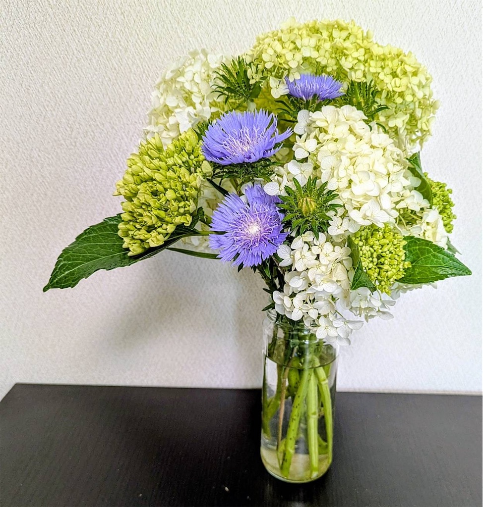 f:id:wellnaho:20260702220943j:image f:id:wellnaho:20260702220943j:image