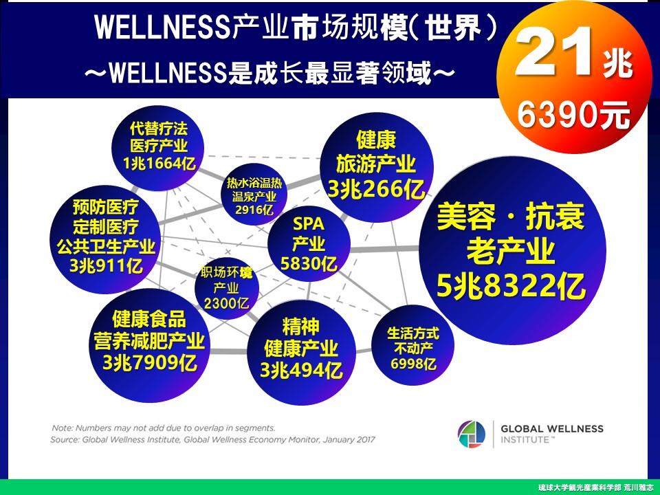 f:id:wellnessokinawalongevity:20190729205051j:plain f:id:wellnessokinawalongevity:20190729205051j:plain