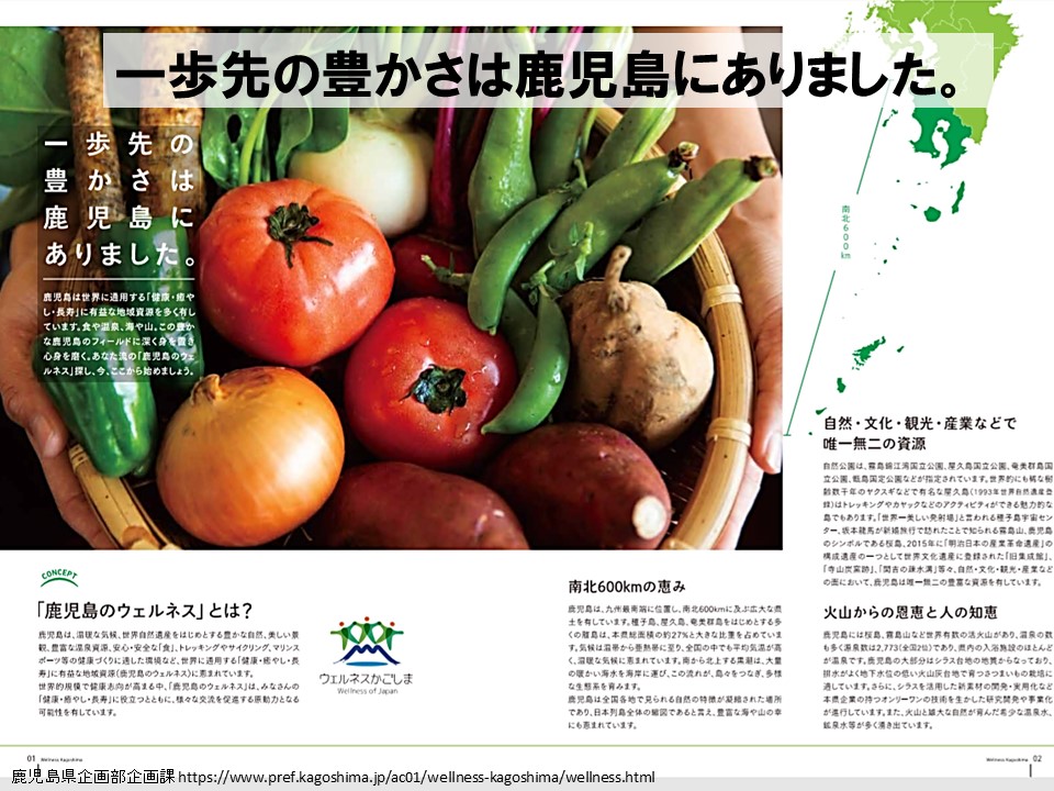 f:id:wellnessokinawalongevity:20190801181505j:plain f:id:wellnessokinawalongevity:20190801181505j:plain