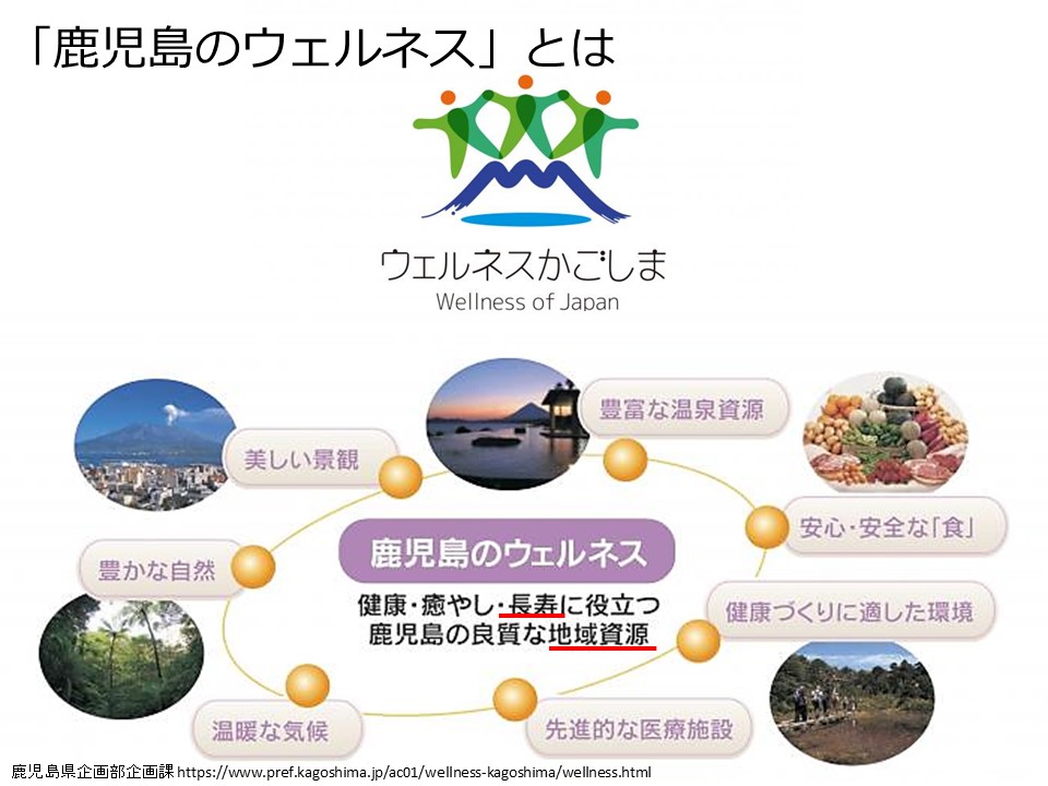 f:id:wellnessokinawalongevity:20190801181519j:plain f:id:wellnessokinawalongevity:20190801181519j:plain