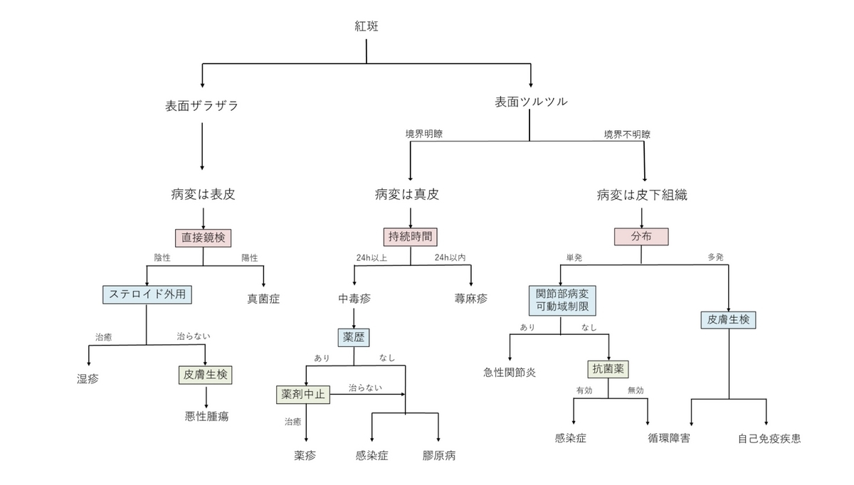 1枚のフローチャート/著書「誰も教えてくれなかった皮疹の診かた・考え