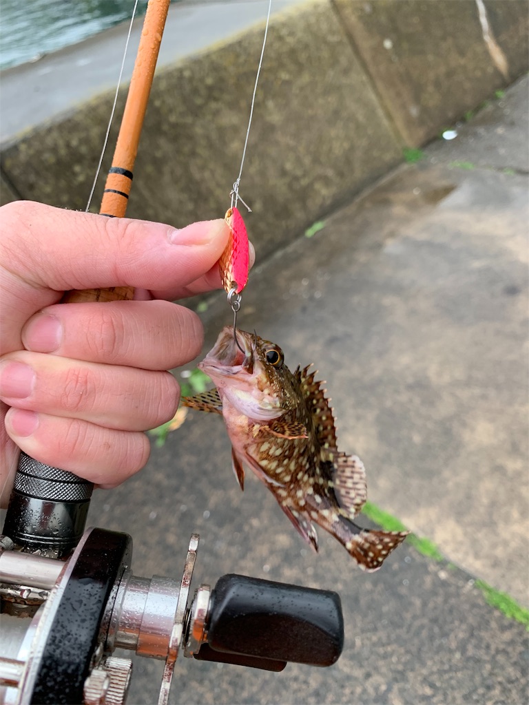 f:id:welwyna:20191231121935j:image