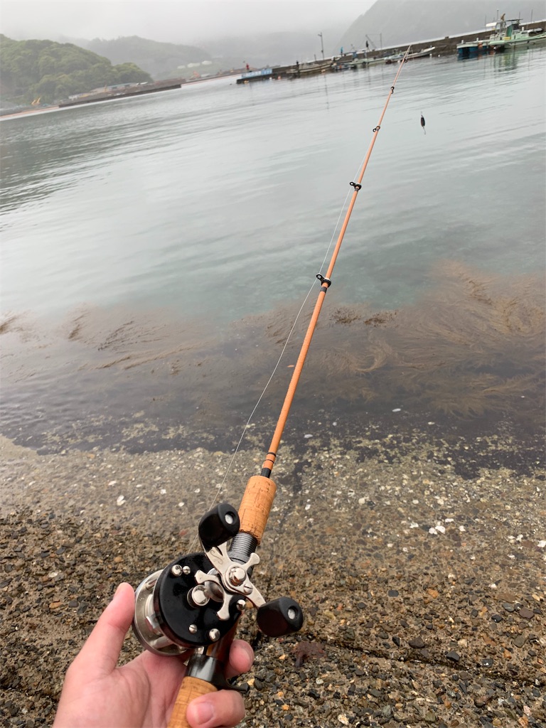 f:id:welwyna:20191231121938j:image