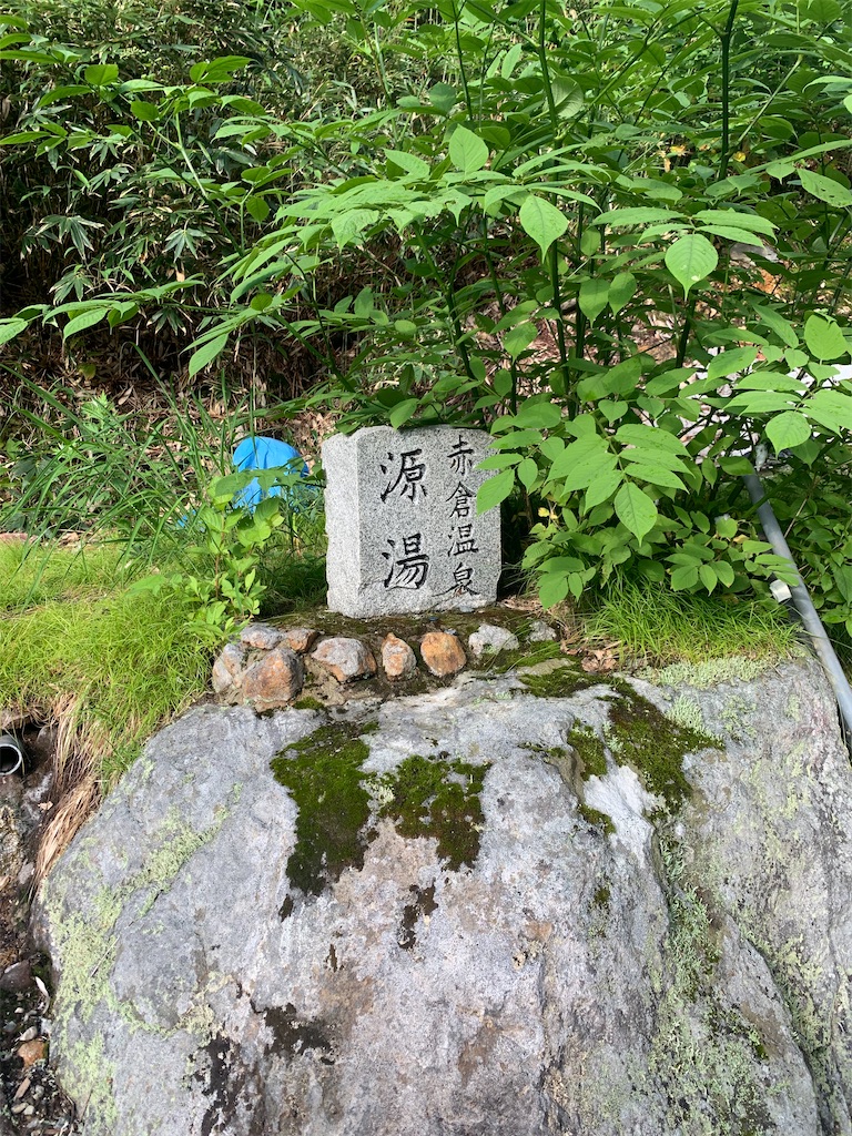 f:id:welwyna:20250119001446j:image