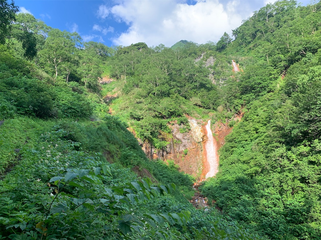 f:id:welwyna:20250119001449j:image