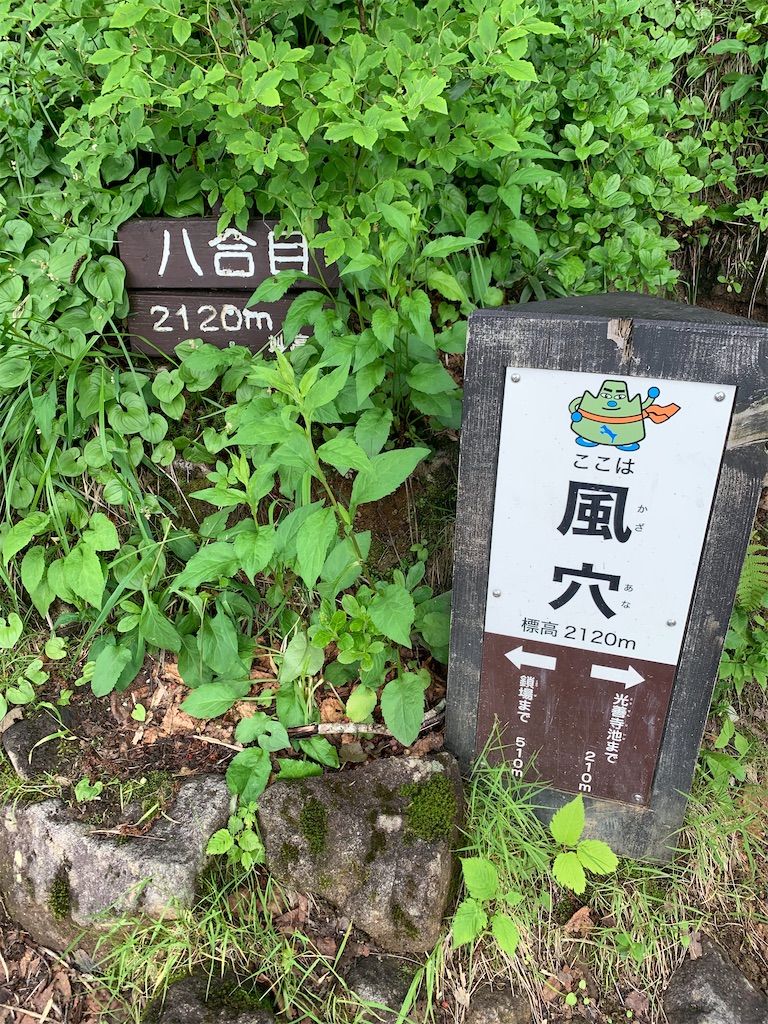 f:id:welwyna:20250119001700j:image