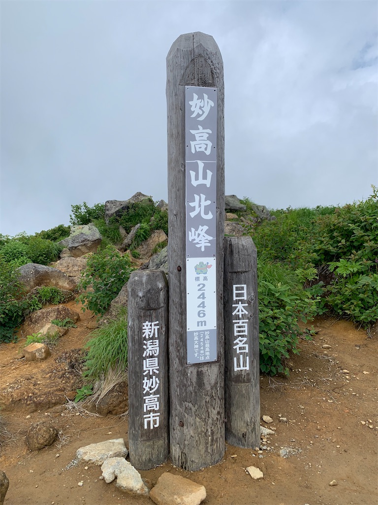 f:id:welwyna:20250119001835j:image