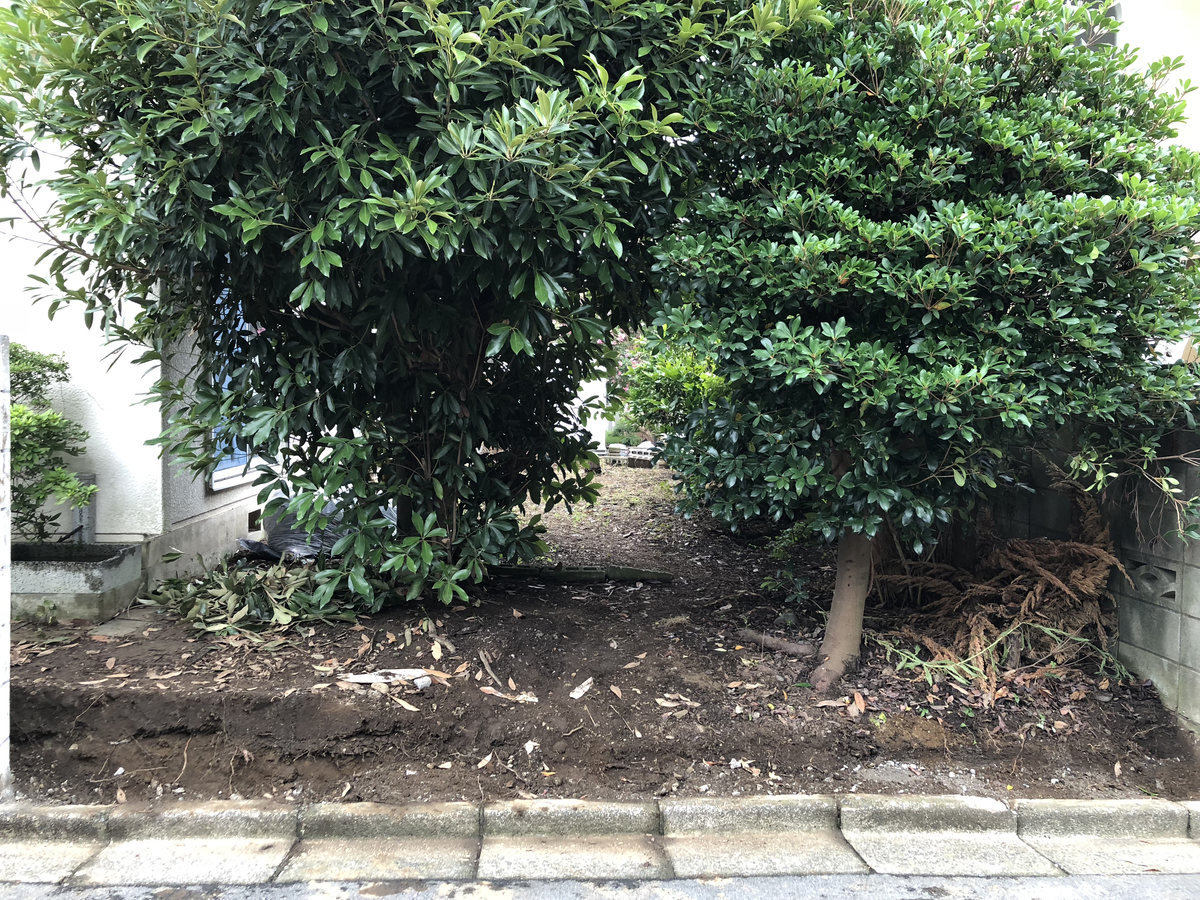 f:id:wemi:20190710151935j:plain