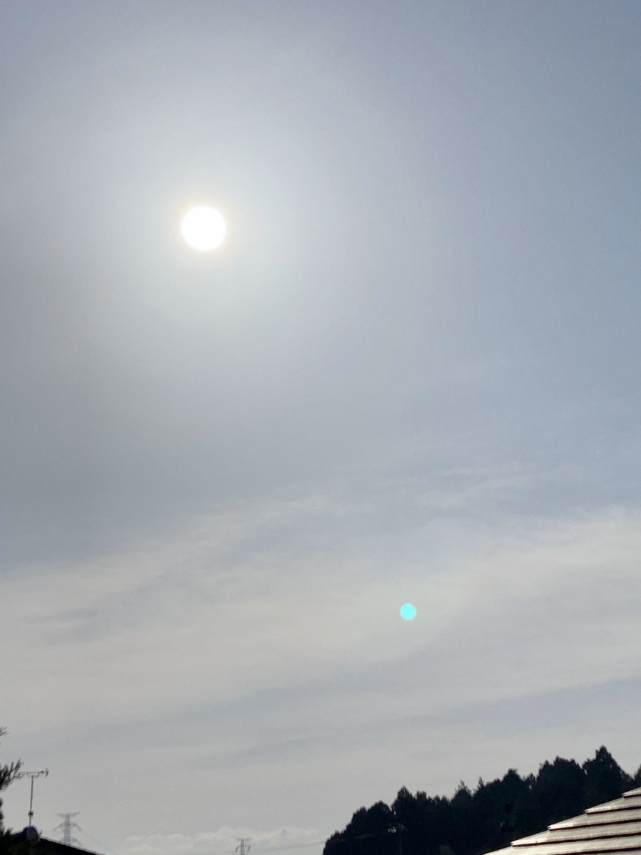 f:id:wendymoon:20220417134430j:plain