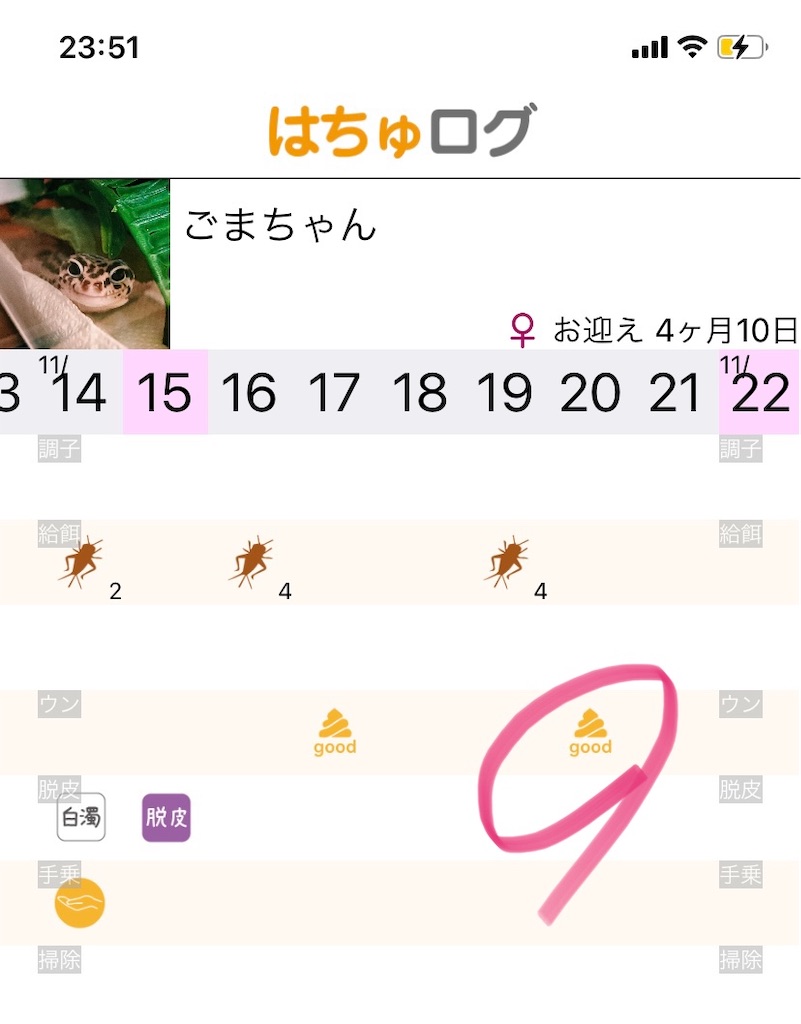 f:id:weppy626:20201130072656j:image