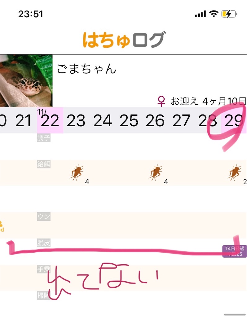 f:id:weppy626:20201130072702j:image