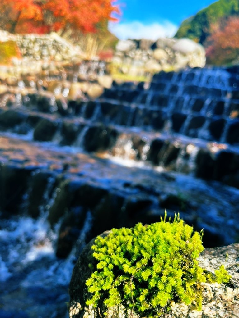 f:id:weri0425:20221206064813j:image